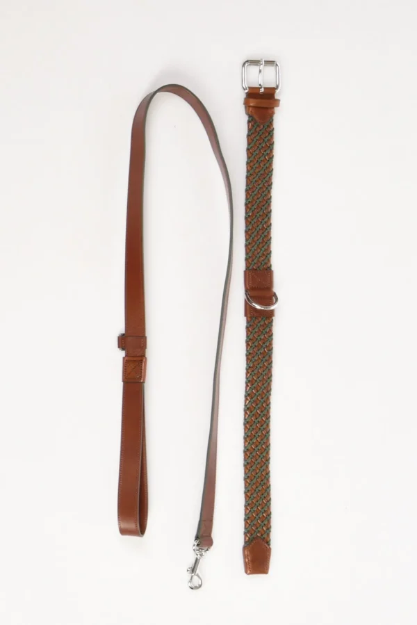 collare+guinzaglio marrone/verde